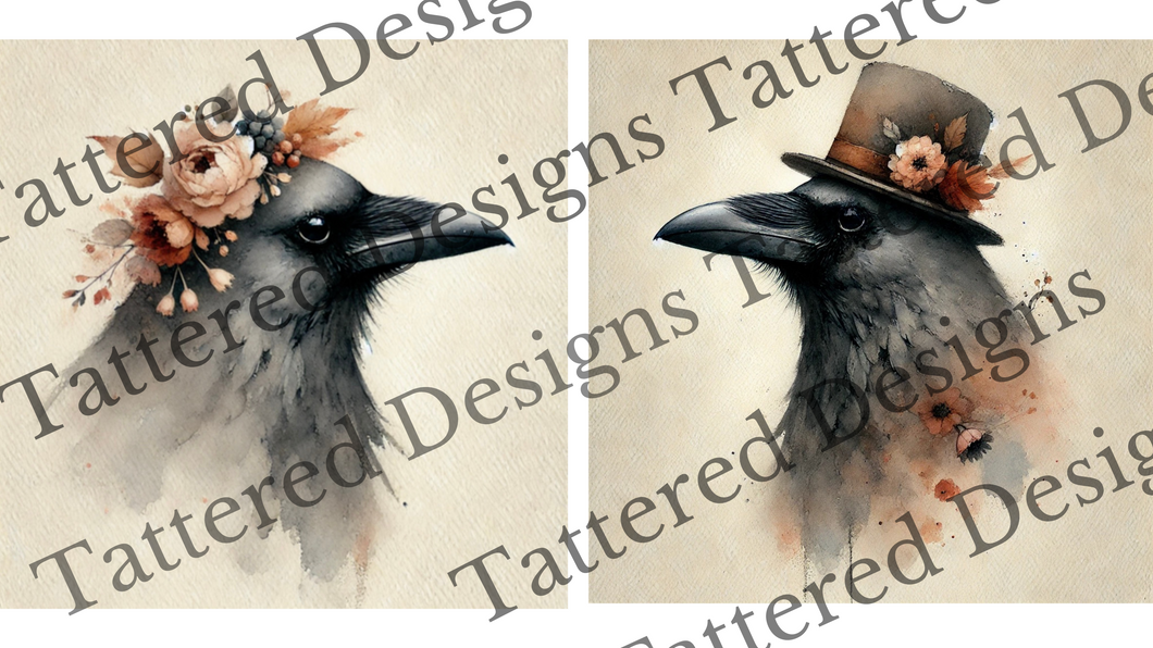 Crow Watercolor Digital Images